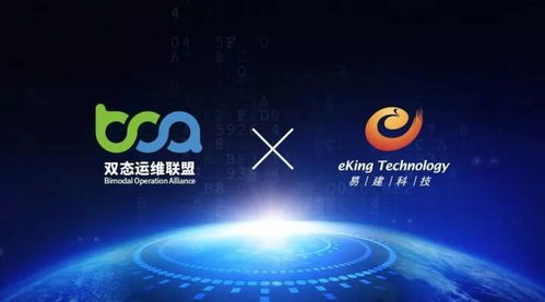 科技信息咨詢(xún)服務(wù)市場(chǎng)洞察與發(fā)展戰(zhàn)略
